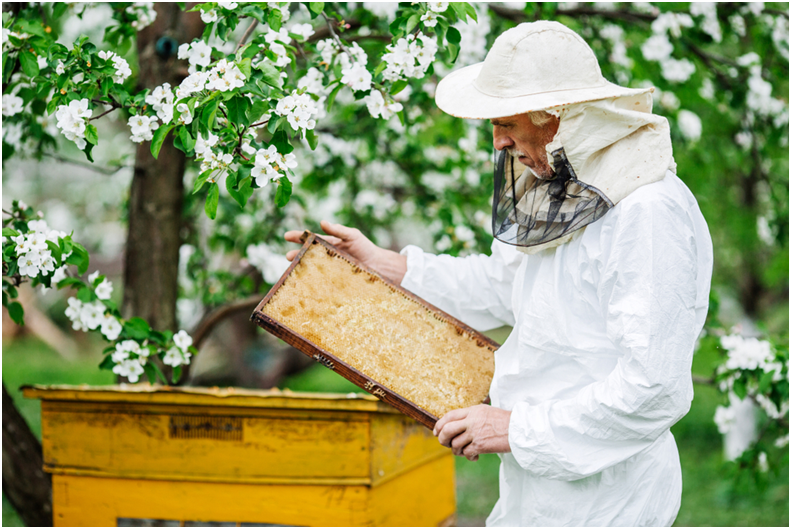 bee control la jolla