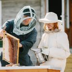 San Diego Bee Control
